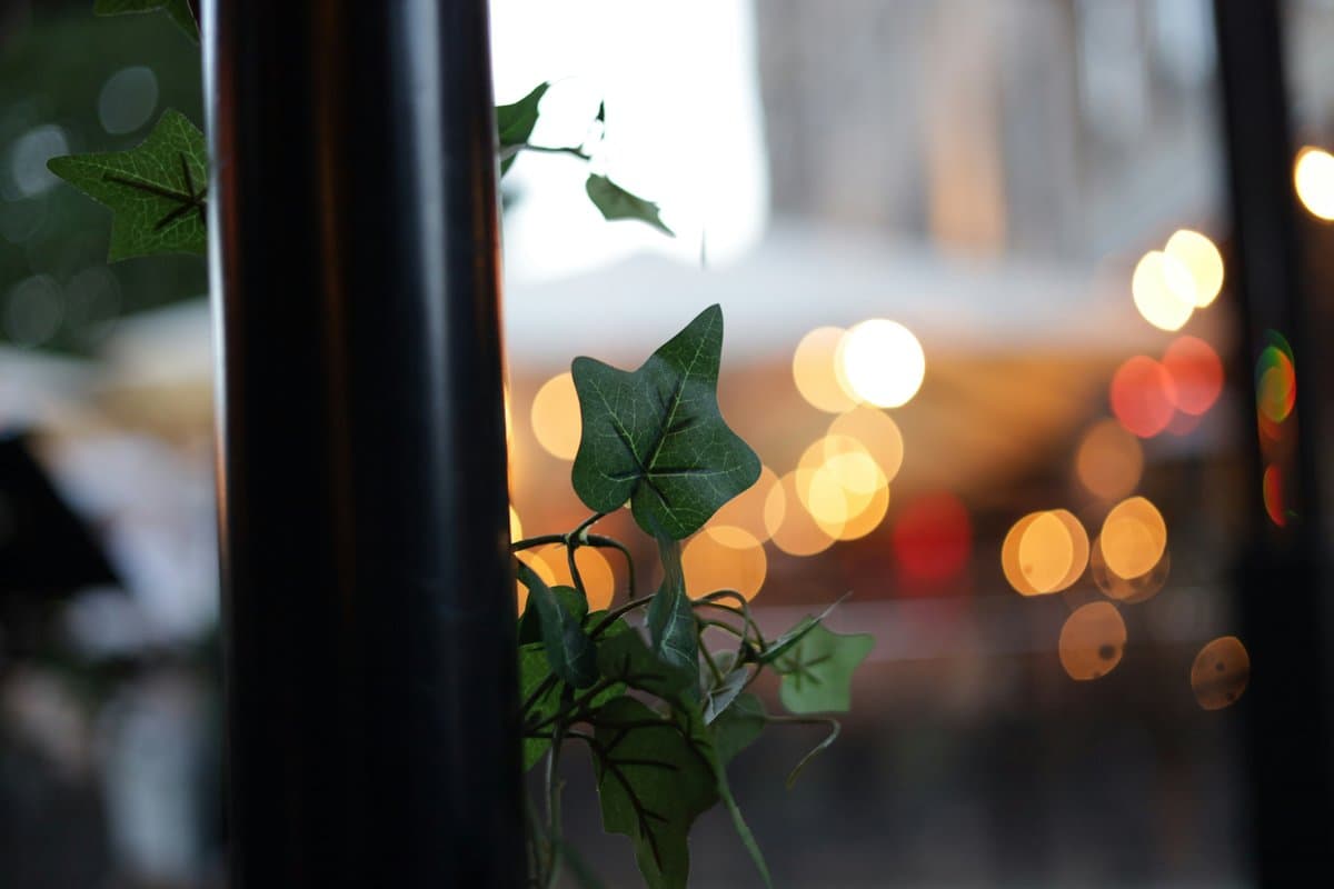 Jag uppskattar att du säger till, det gör det lättare för mig att förstå.