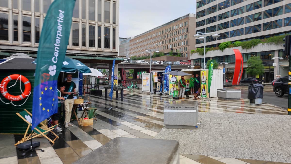 Who can vote in the EU election?