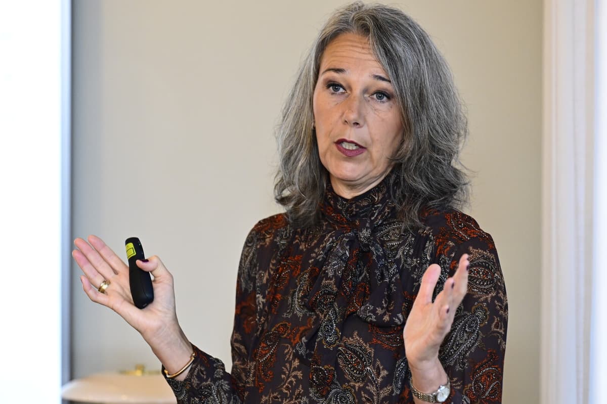 Nordea Economist Seeks US Economic Slowdown to Curb Tariffs