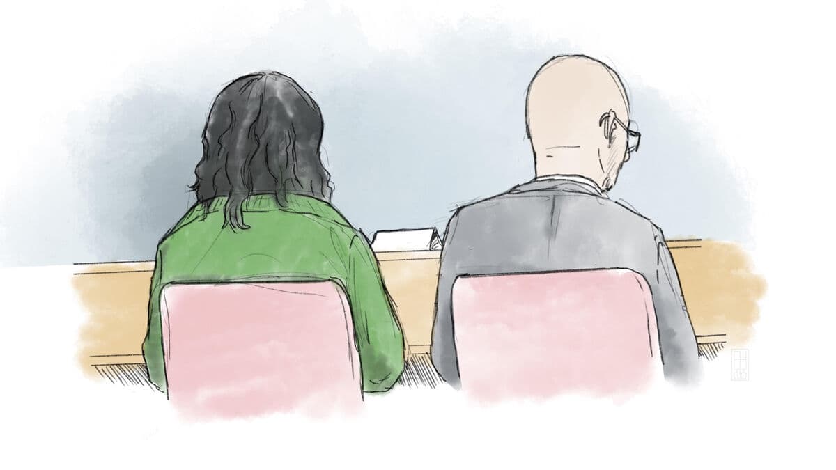 Court: 18-year-old terror suspect convicted