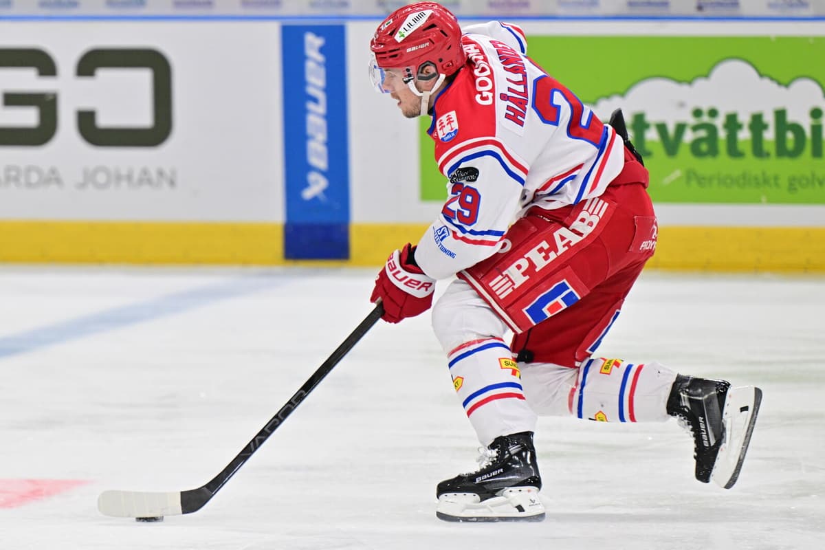 Filip Hållander Signs Two-Year Deal with Pittsburgh Penguins