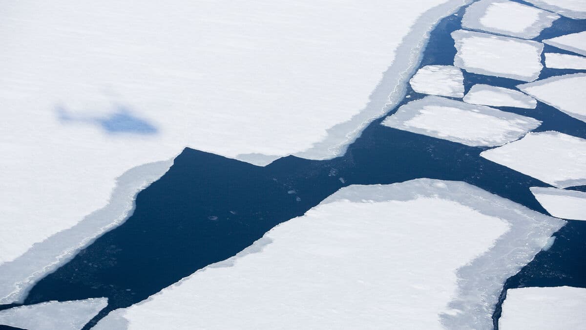 Three skaters in distress rescued by helicopter