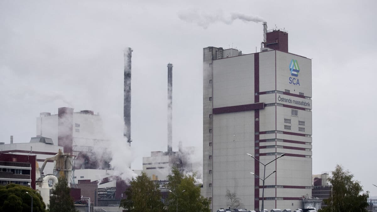 SCA operating profit falls 37% to SEK 697 million in the fourth quarter