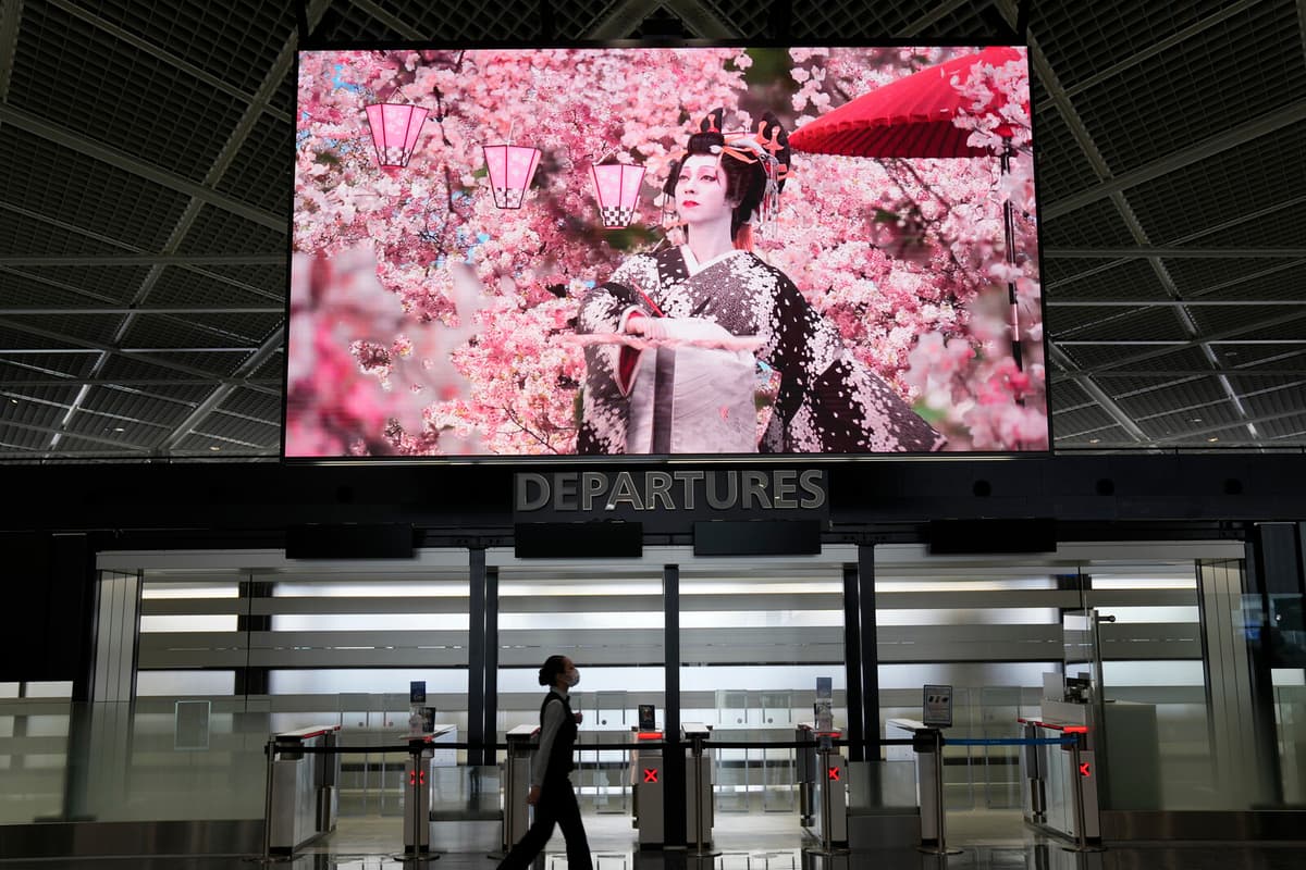 Author's Tsunami Prediction Leads to Tourist Cancellations in Japan