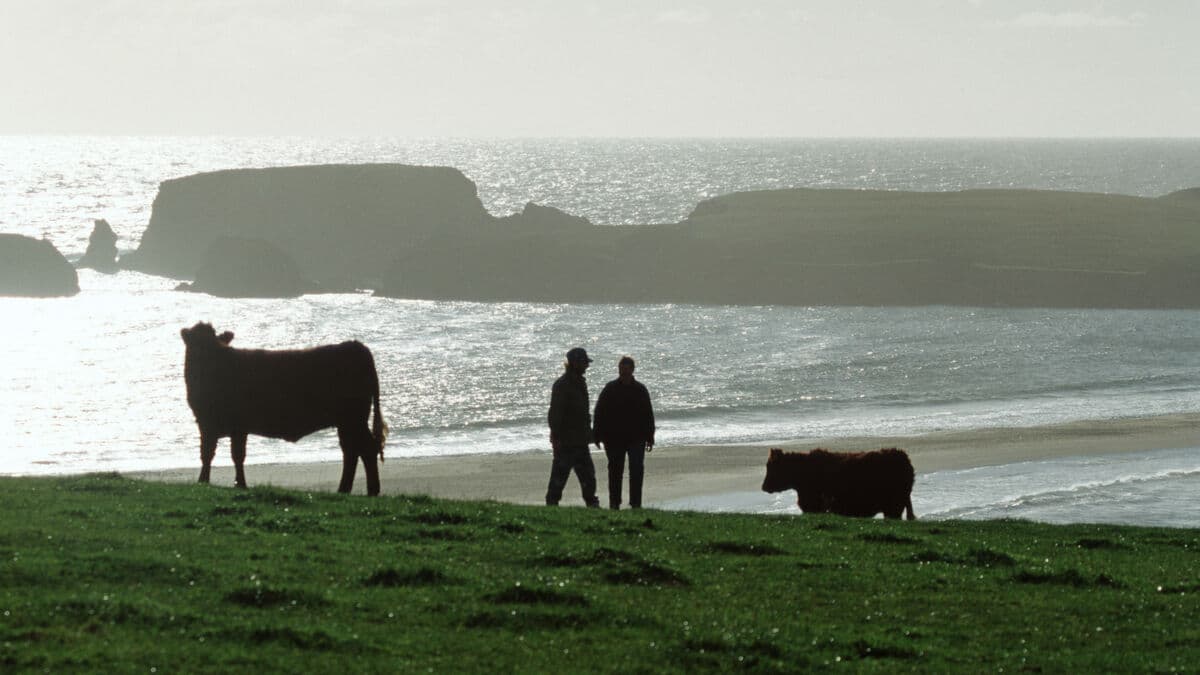Remains of missing Norse found in Shetland