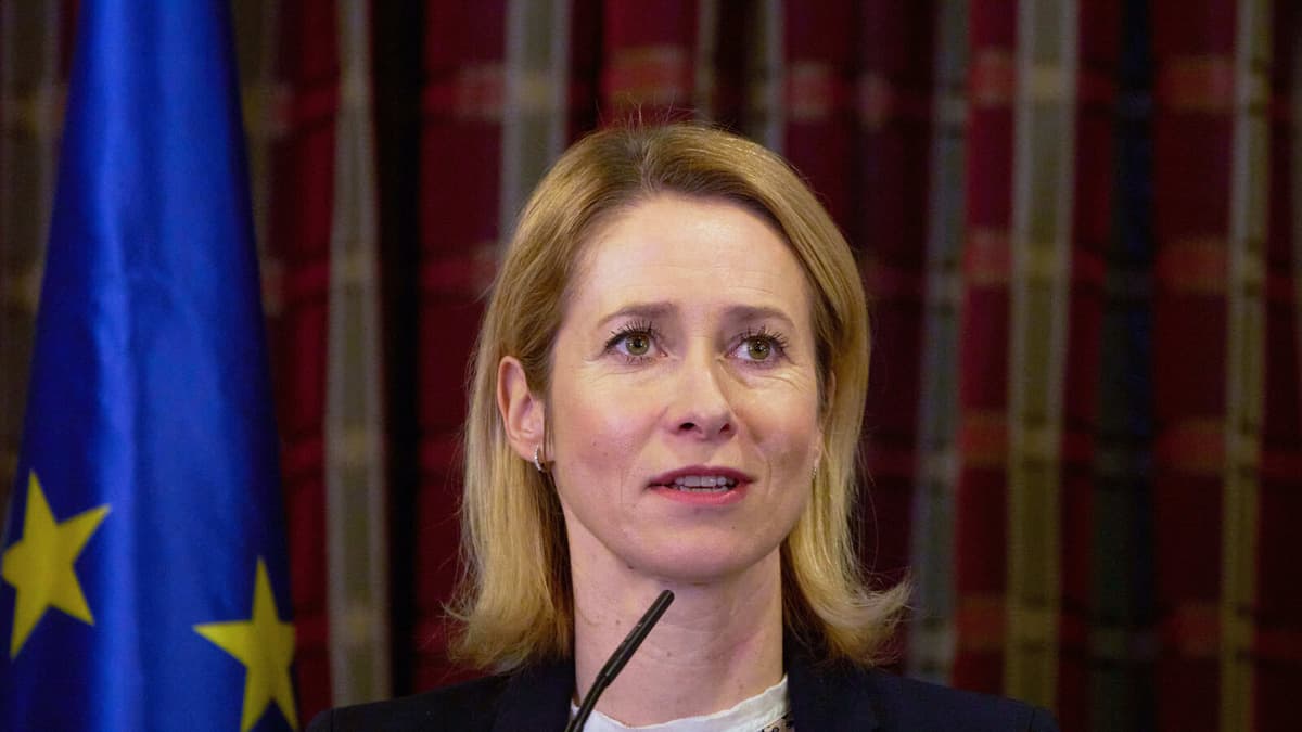 Kallas Urges US to Fully Leverage Pressure Tactics on Russia