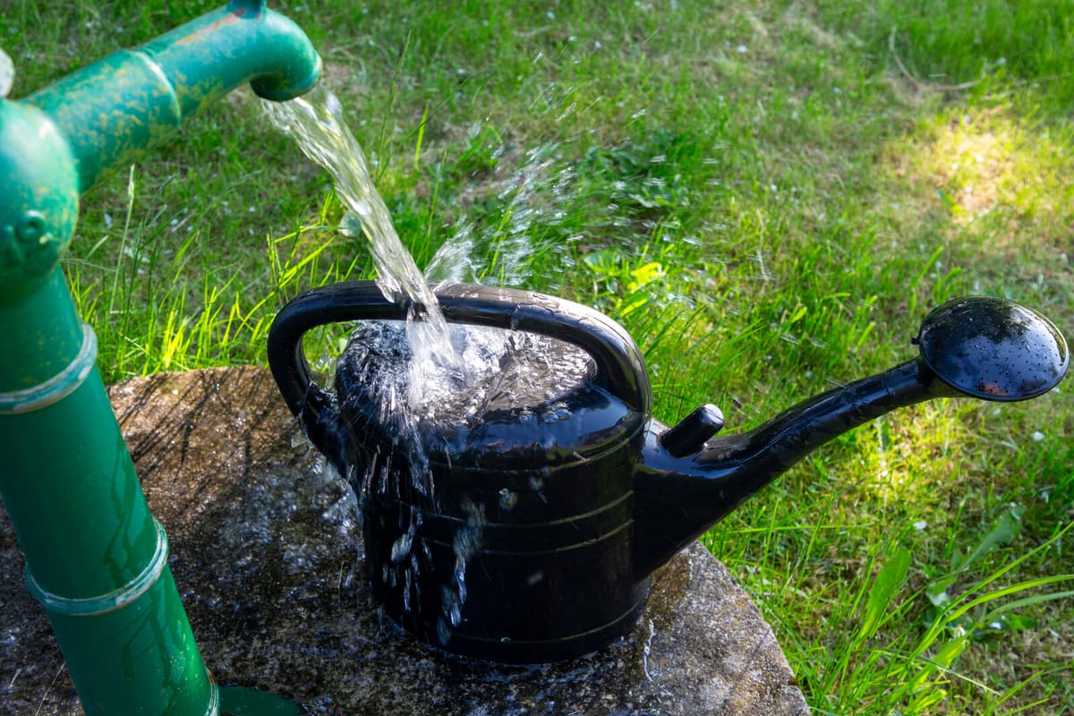 Sweden Faces Declining Groundwater Levels Amid Dry Conditions