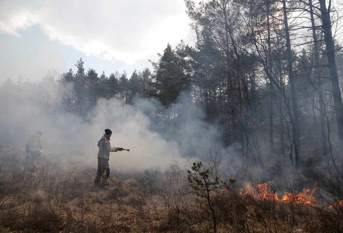 Fire Risk Warning in Southern Sweden: Avoid Lighting Fires