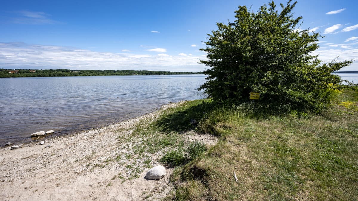 Residents and businesses in Skåne urged to save water as Lake Vombsjön reaches lowest level since 1969