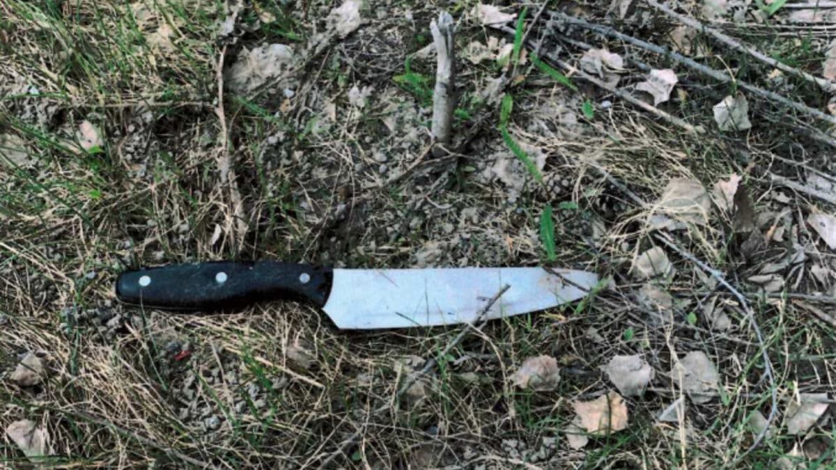 Life Sentence for Kramfors Knife Murder