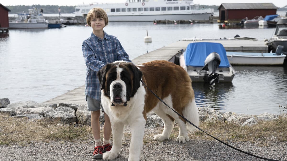 New Saltkråkan Series and Colleen Hoover Film Highlight This Week's Releases