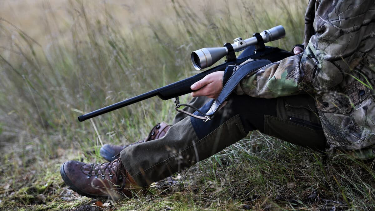 Decisive: Weapons may be stored in holiday homes