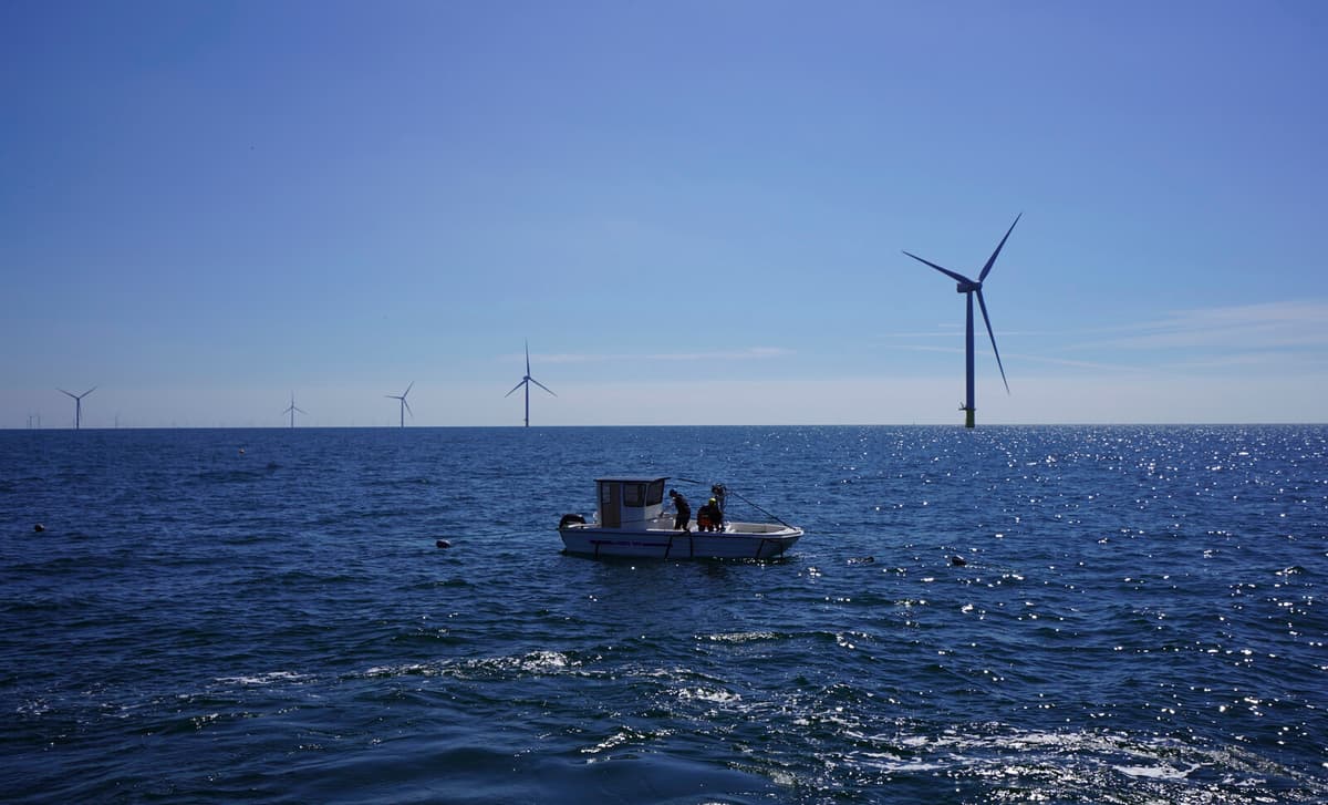 Siemens Energy Secures Billion-Euro Deal for Bornholm Energy Island