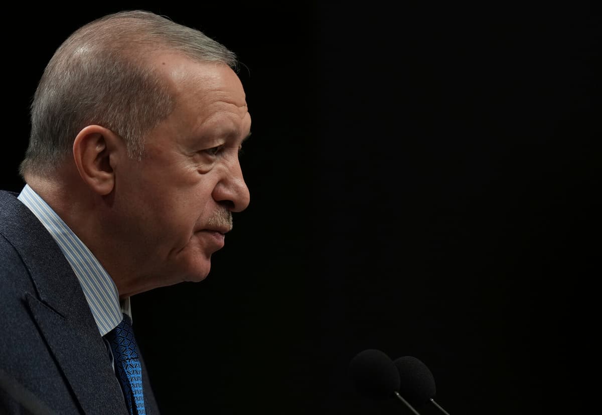 Turkish Journalists Timur Soykan and Murat Agirel Detained in Dawn Raid