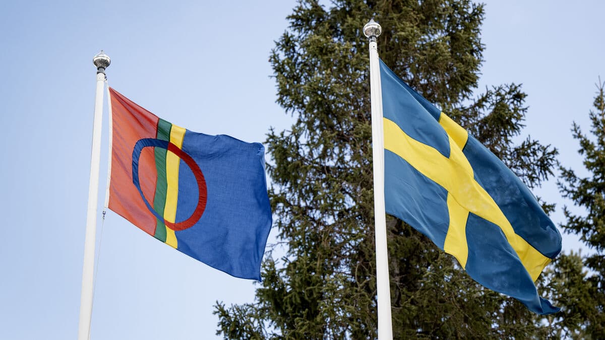 Minorities in Sweden Face Ongoing Discrimination Despite 25 Years of Conventions