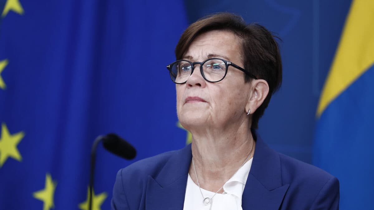 The head of the Swedish Tax Agency is being investigated for crimes