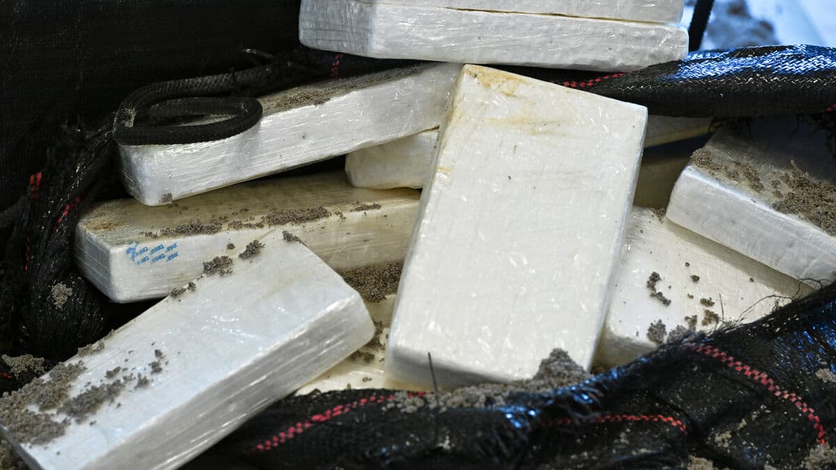 United States and Mexico seize 188 packages of cocaine from ship in Pacific Ocean