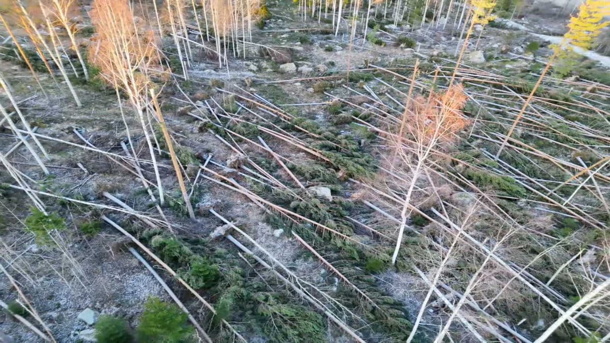 Heavy snowfall delays power restoration