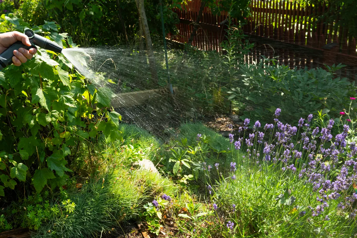 Stockholm Tap Water Shortage Persists: Save Water Urged