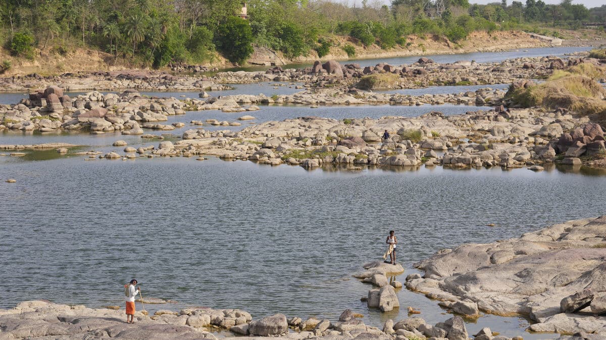 Toxic Cough Medicine in India Linked to 20 Child Deaths