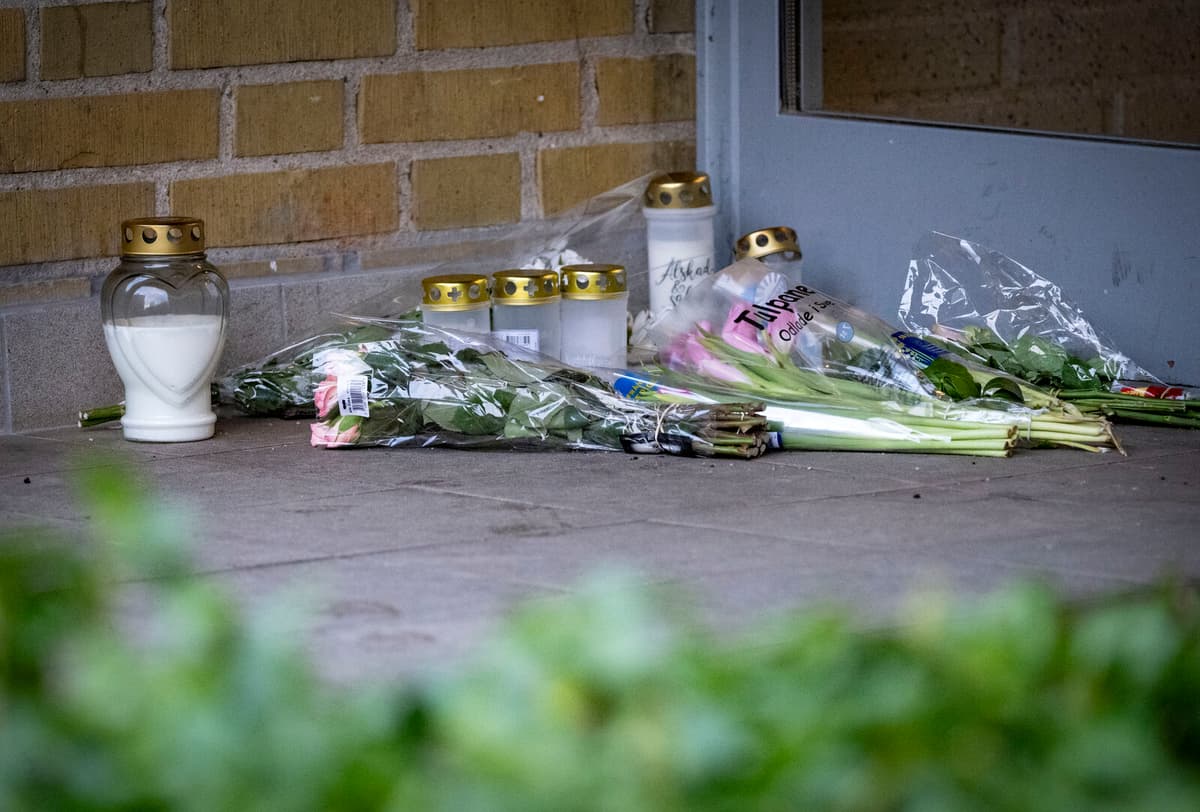 Toy Gun Tragedy: Two Teens Charged After Fatal Malmö Incident