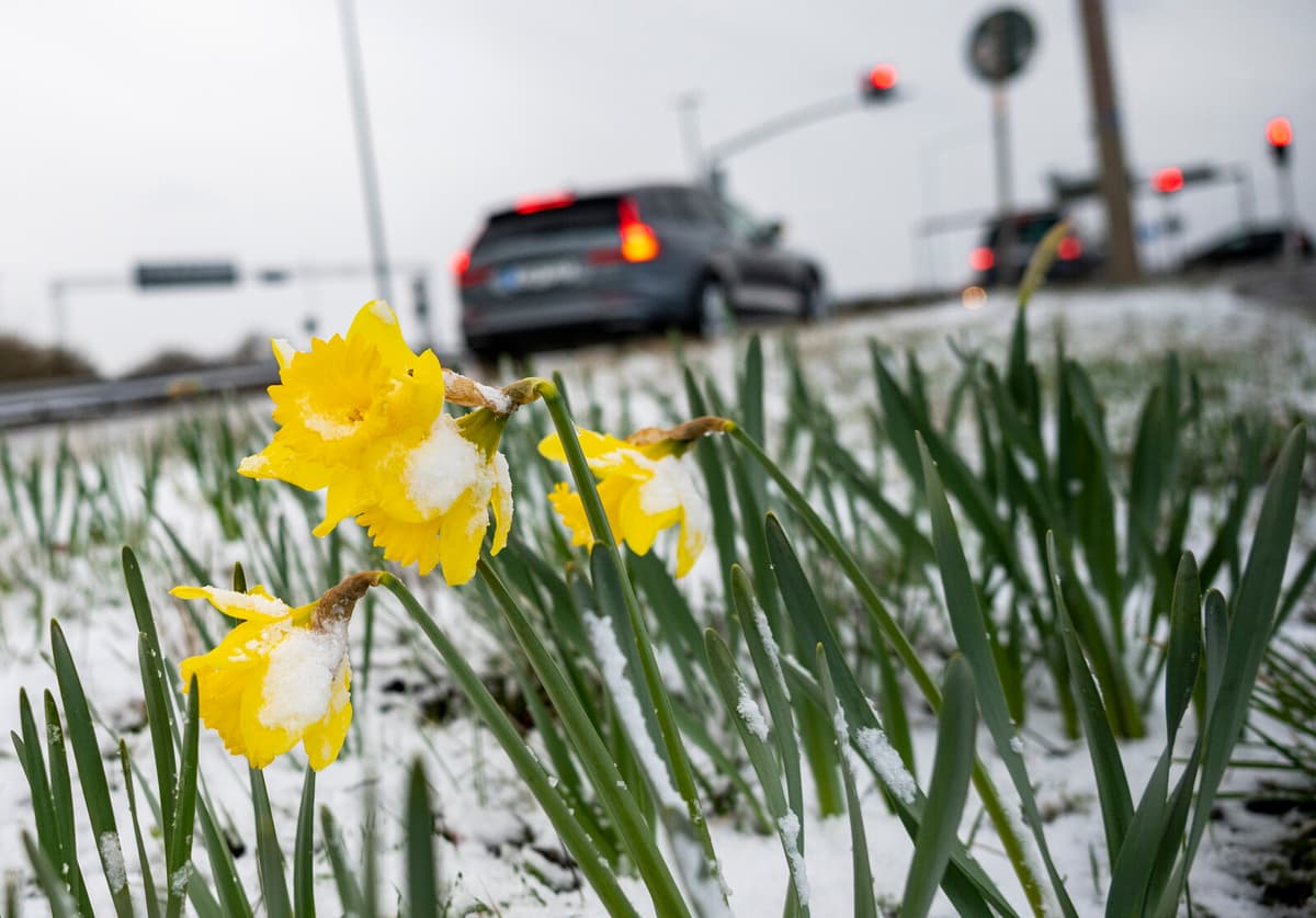 Easter Travel Chaos: Multiple Accidents Cause Major Traffic Disruptions