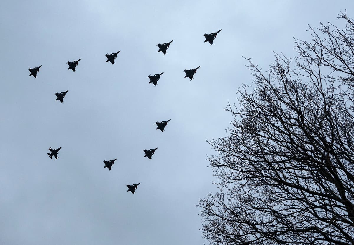 The Weather Stopped the Christmas Tree Flight