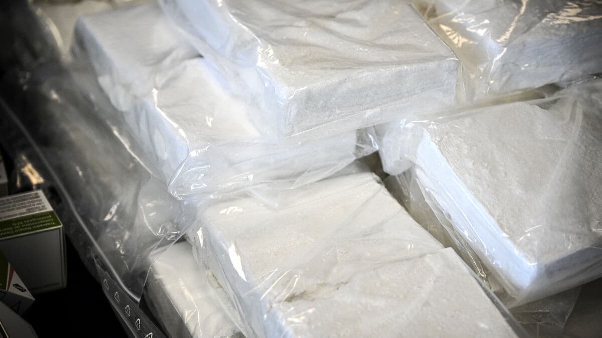 Drivers charged – 140 kilos of cocaine in the load