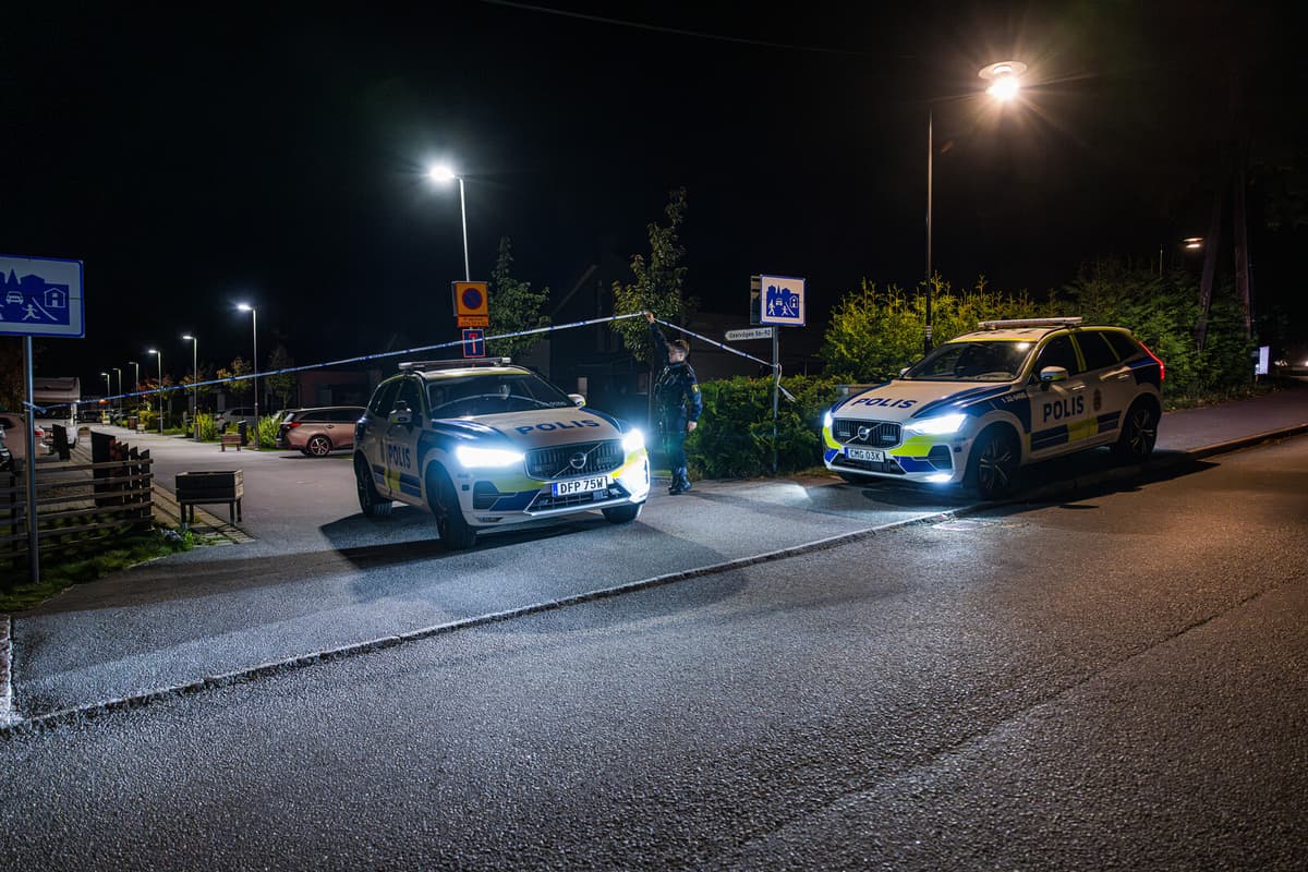 Swedish Court Upholds Record Sentence for Teen in Triple Murder Case