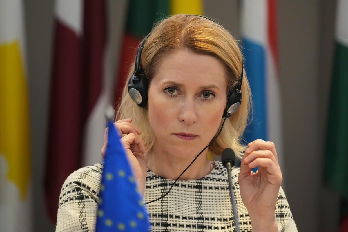 EU Foreign Minister: United NATO and EU Can Counter Russia