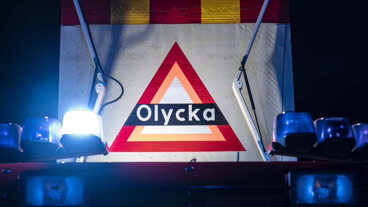 Bus collides with horse – driver taken to hospital