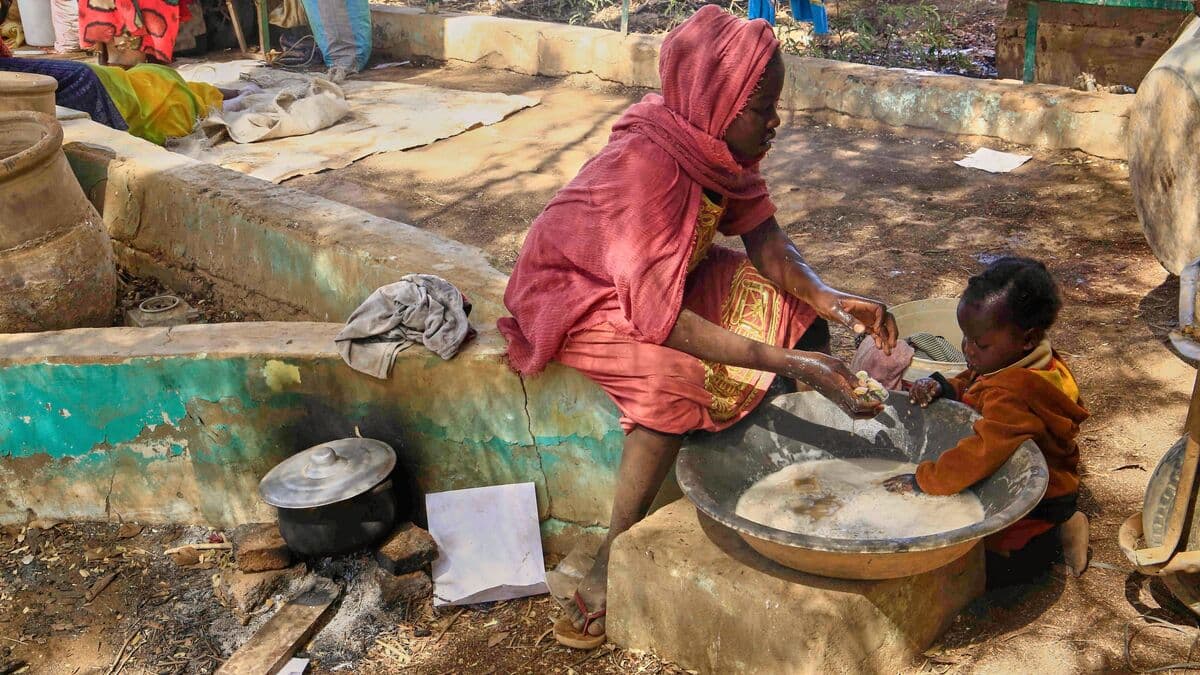 Darfur Residents Forced to Eat Cow Hides Amid Severe Hunger Crisis