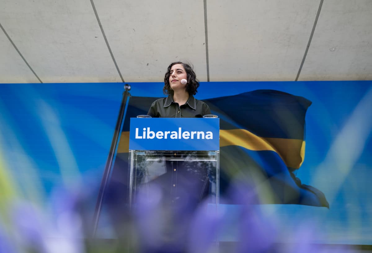 Mohamsson Praises Mats Persson's Impact After Minister Resignation