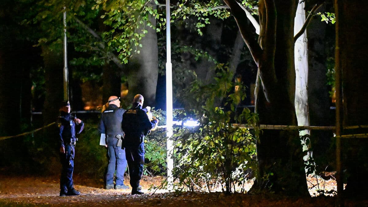 Woman suspected of false alarm