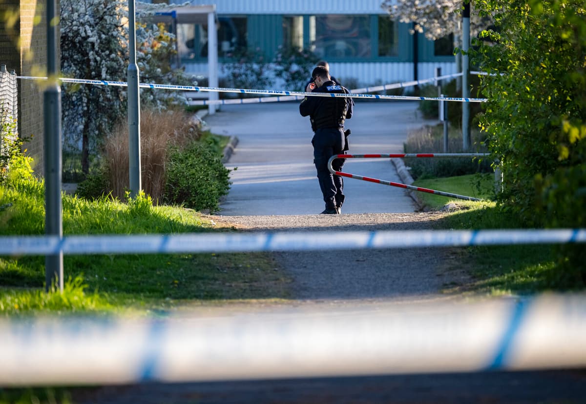 Hand Grenade Found in Skåne Park Secured by Police Bomb Squad