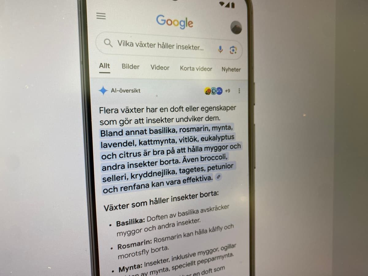 Google Integrates AI for Enhanced Search Results