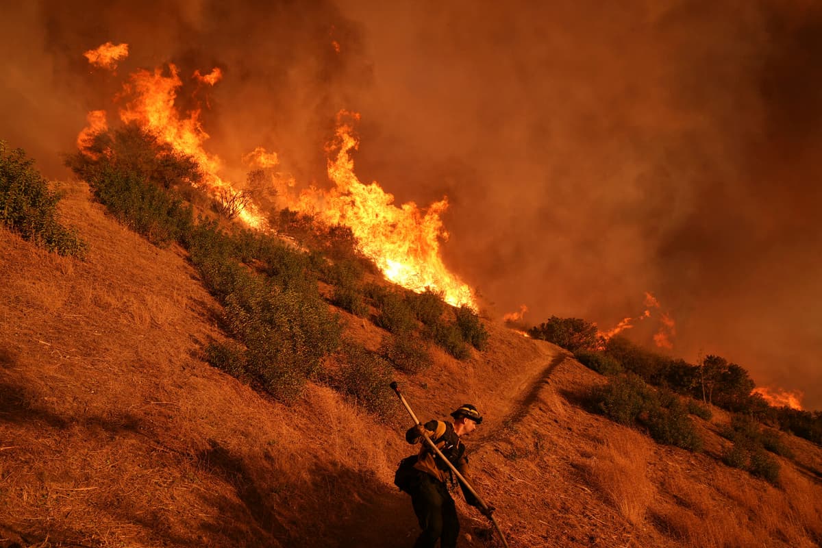Invasive species exacerbate fires in the USA