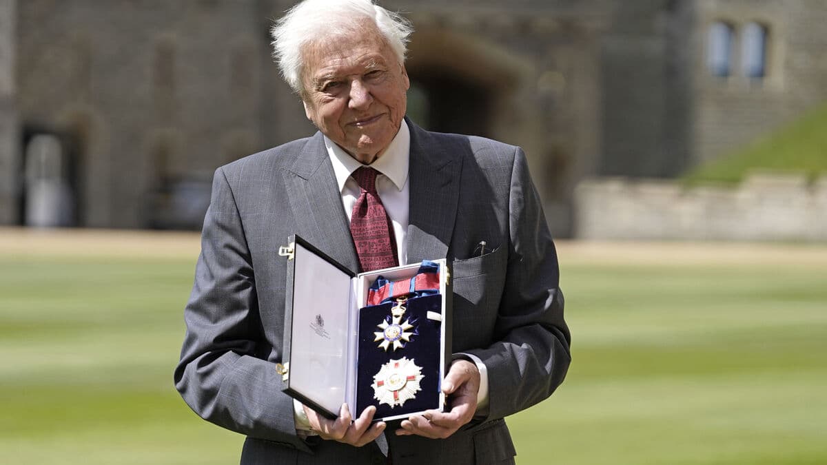 David Attenborough Becomes Oldest Emmy Winner at 99