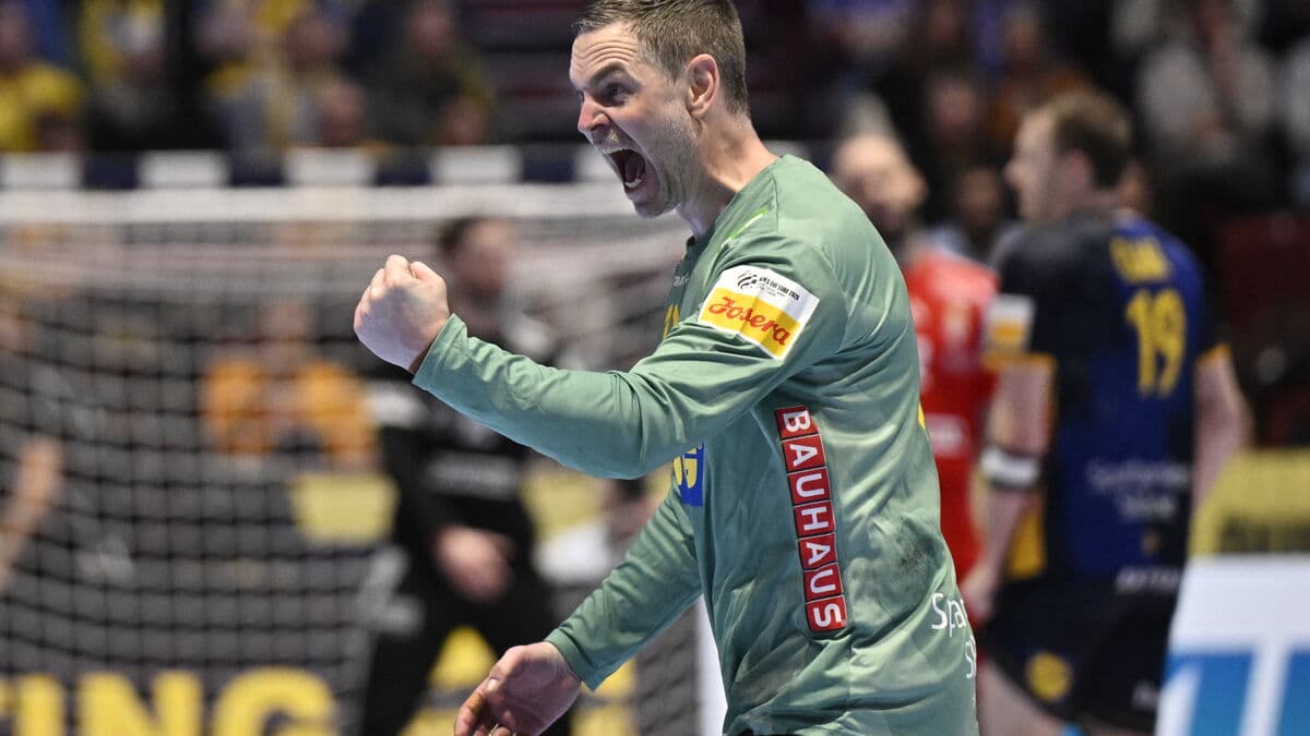 Andreas Palicka retires from the national team
