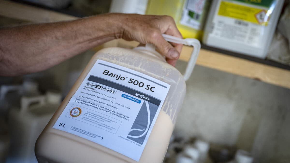 PFAS agents in Swedish agriculture are being re-examined