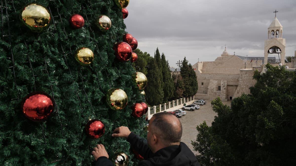The Christmas tree is decorated in Bethlehem – Christmas celebrations are back