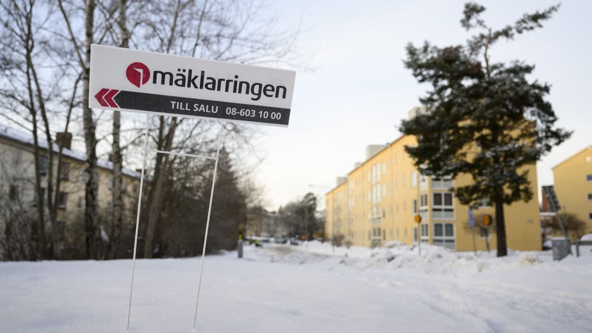 Households expect higher housing prices this year