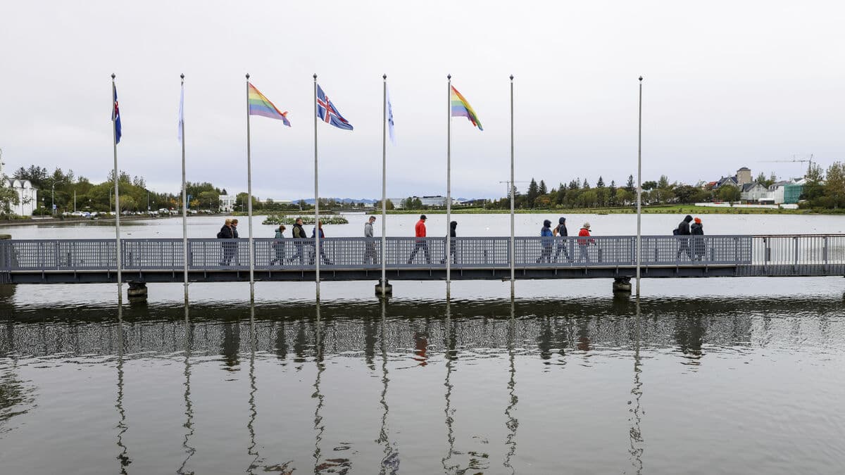 Iceland wants August referendum on resuming EU membership talks