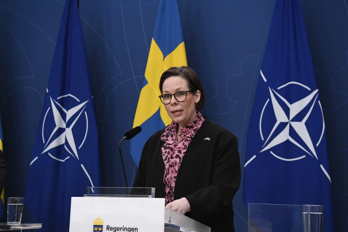 Sweden Prioritizes Journalist's Release After Arrest in Turkey