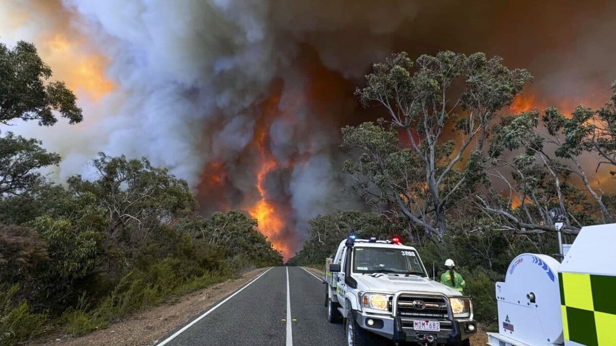 Victoria declares state of disaster over extensive bushfires