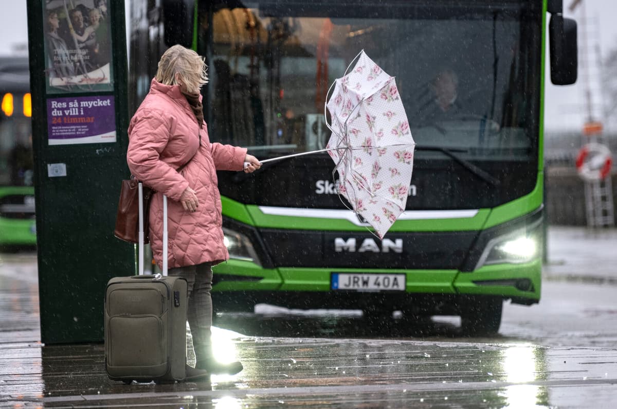 Swedish Exports Boosted by Strong North American Demand