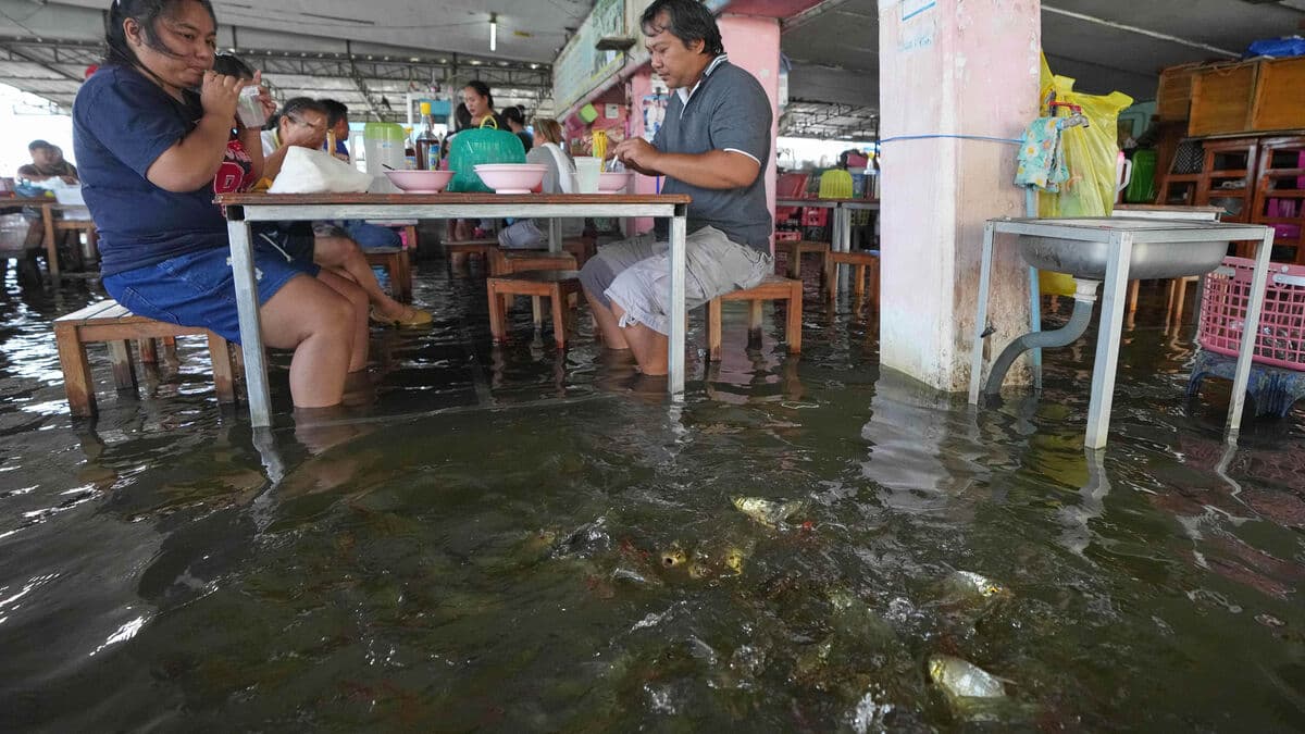 Flooding was a success – for guests and fish