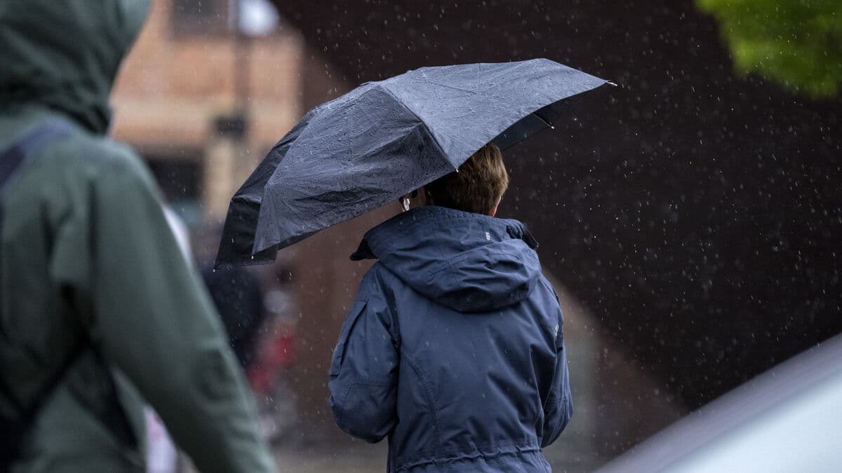 Blood rain from the Sahara could fall on western Sweden this week