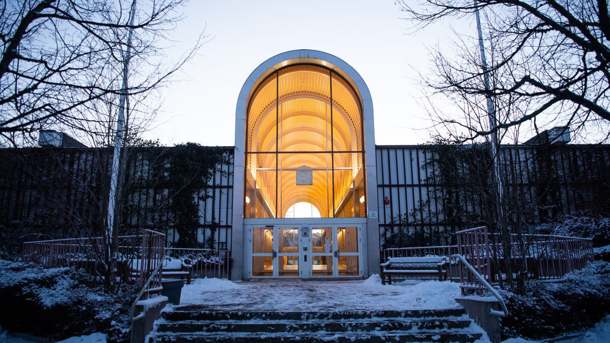 After the alarm – no bedbugs at university