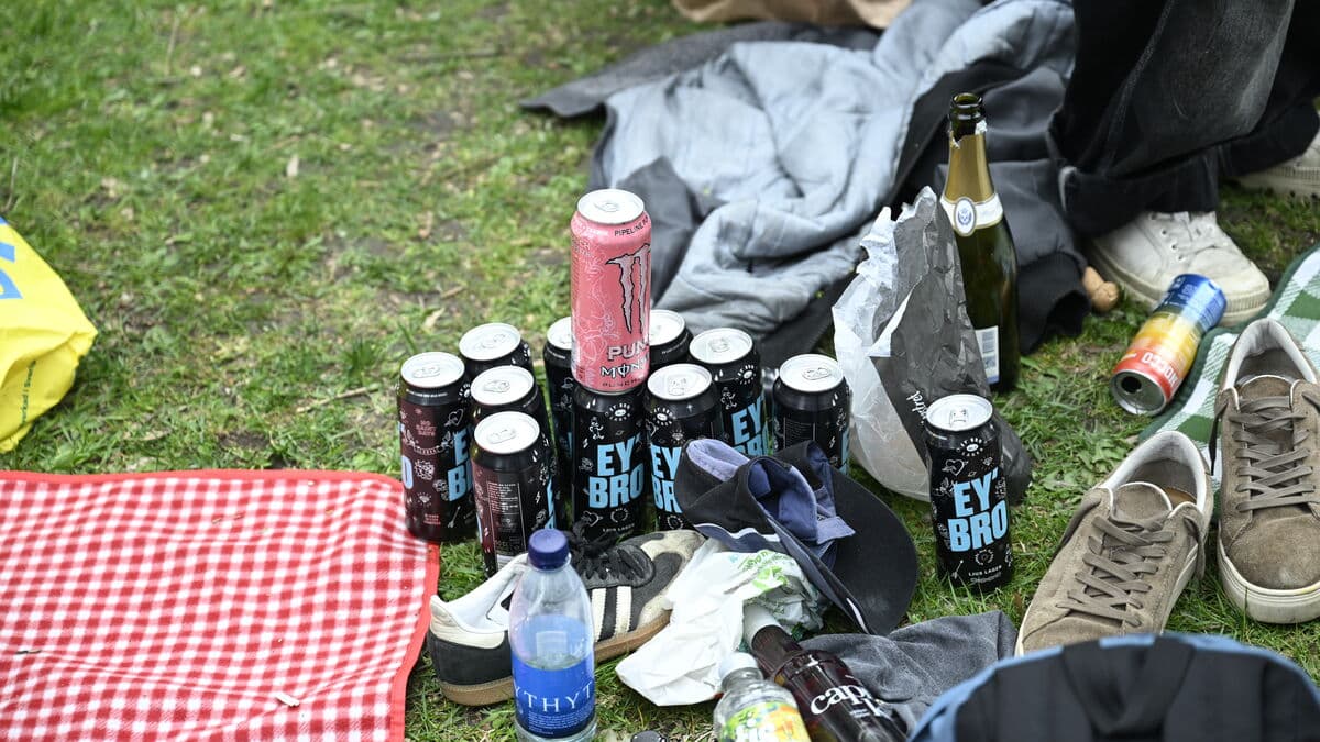 Swedish Youth Alcohol Consumption Lower Than European Average